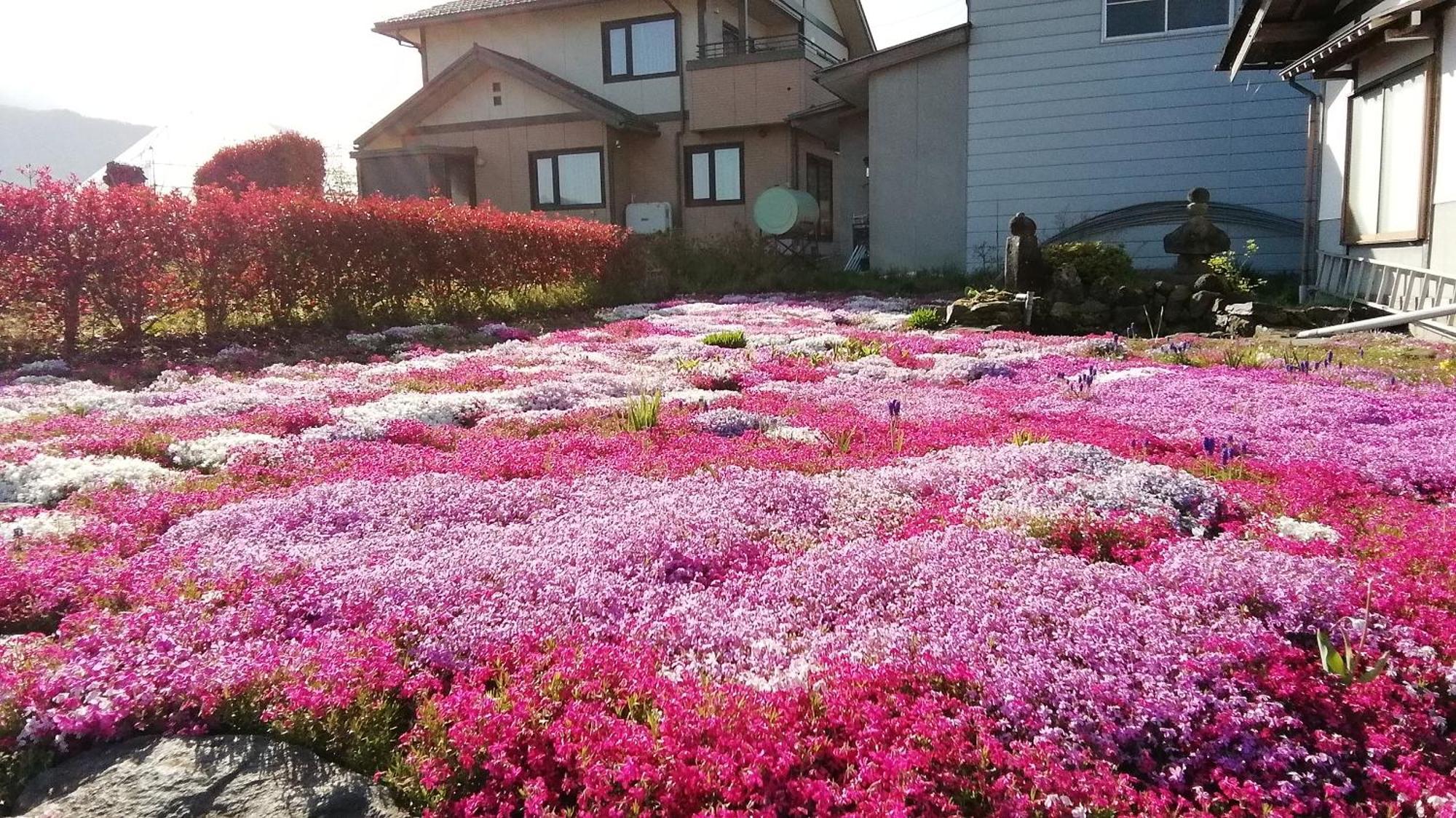Guest House Honami-Kaido Yamanouchi  Luaran gambar